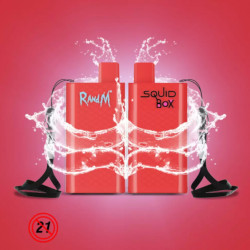 RandM Squid Box 5200 Puffs Disposable Vape Pods Device E Cigarettes With 850mAh Rechargeable Battery 12ml Pod Mesh Coil Vaporizer Kit